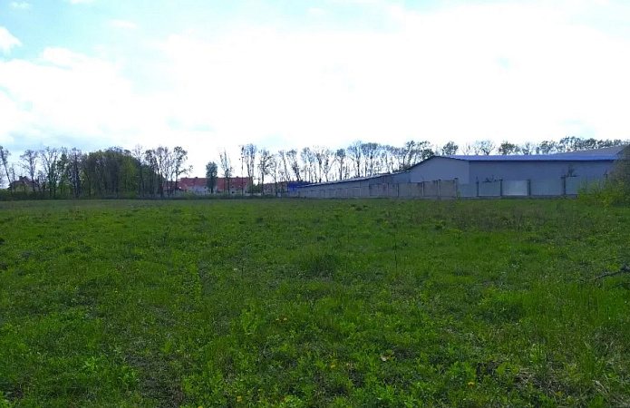 земельна ділянка, 15000 м², провулок Амосова, 3, Софіївська Борщагівка земельна ділянка, 15000 м², провулок Амосова, 3, Софіївська Борщагівка