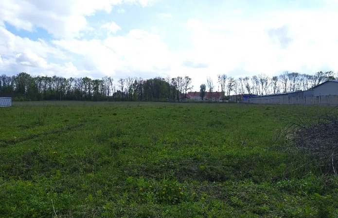 земельна ділянка, 15000 м², провулок Амосова, 3, Софіївська Борщагівка земельна ділянка, 15000 м², провулок Амосова, 3, Софіївська Борщагівка