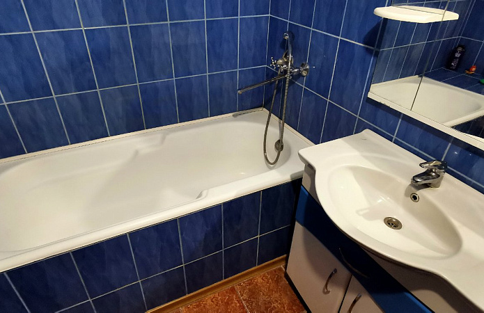 Великий будинок з ділянкою у Великій Димерці, 153 кв.м., дві свердловини Великий будинок з ділянкою у Великій Димерці, 153 кв.м., дві свердловини