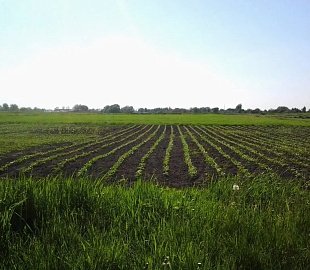 Земельні ділянки